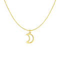 14k Yellow Gold Necklace with Moon
