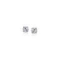 14k White Gold White Cubic Zirconia Stud Earrings(2mm)
